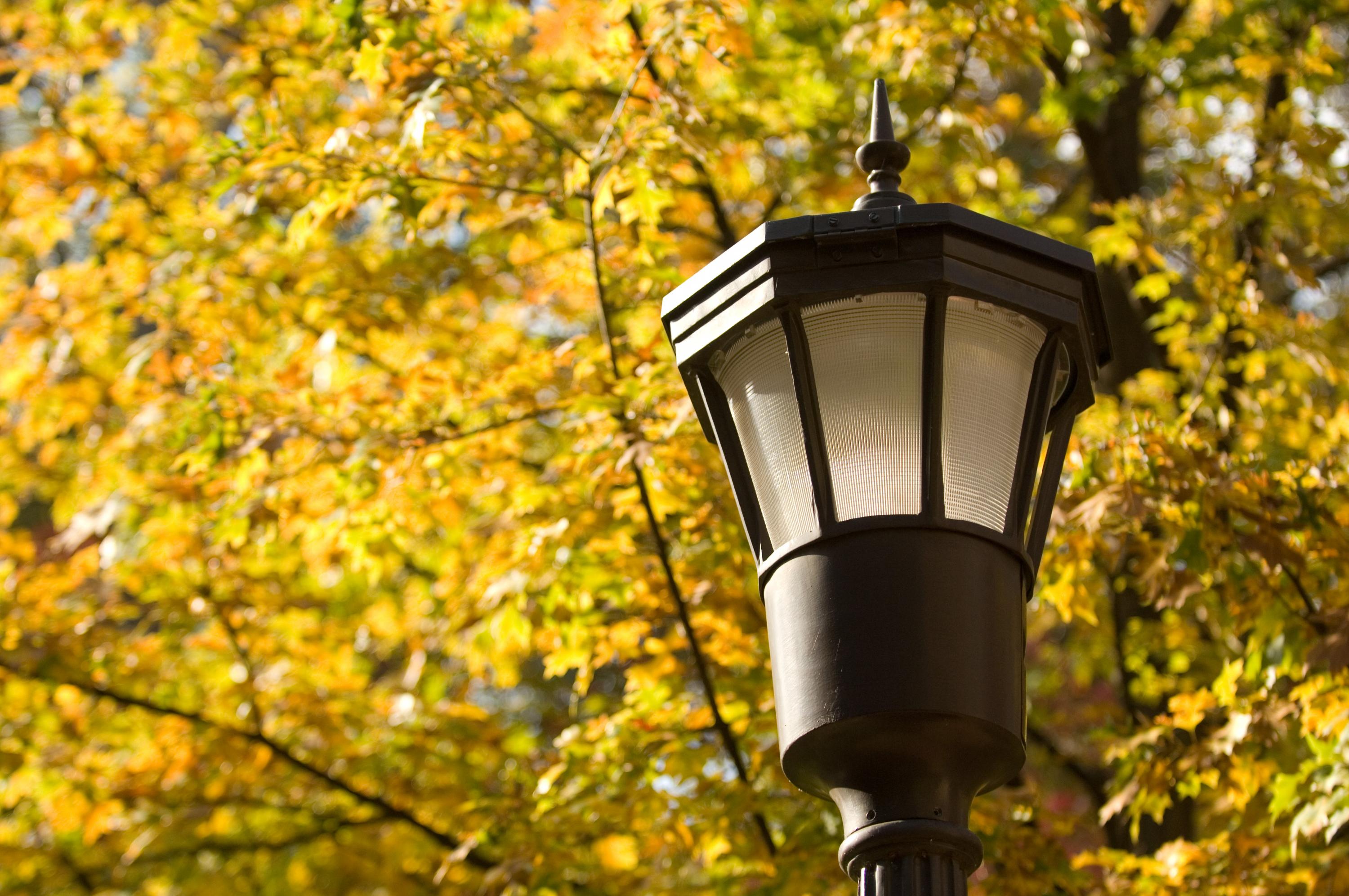 The Thanksgiving Holiday Weekend will cause changes in the operational hours for Campus Services departments. The Thanksgiving Holiday Weekend will cause changes in the operational hours for Campus Services departments.